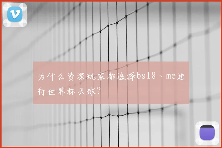 为什么资深玩家都选择bs18丶me进行世界杯买球？