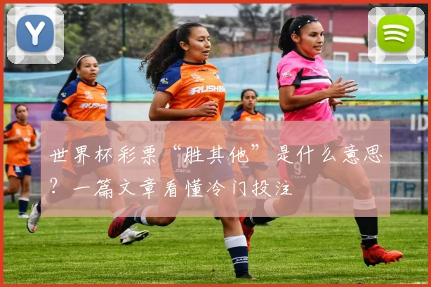 世界杯彩票“胜其他”是什么意思？一篇文章看懂冷门投注